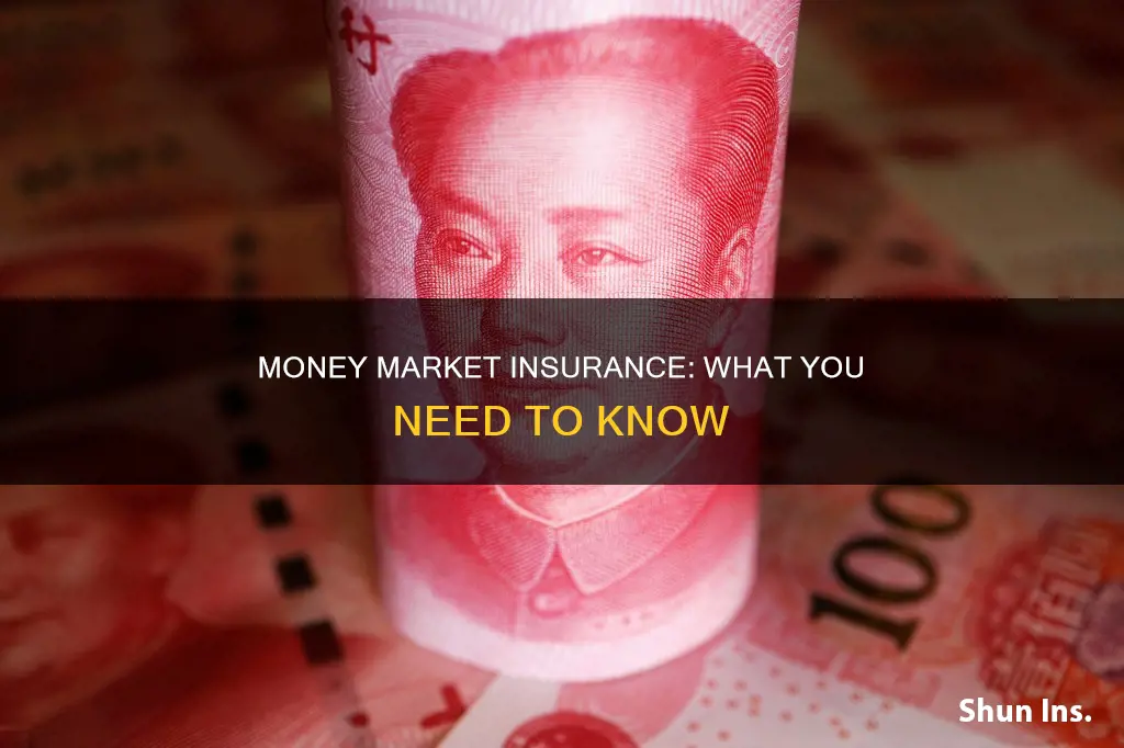 is money market insured