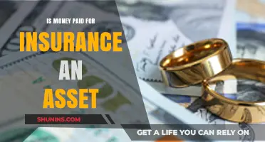 Understanding Insurance: Money, Assets, and You