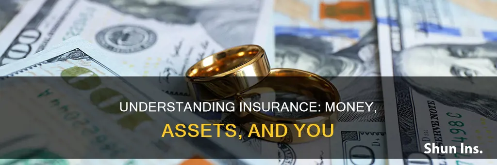 is money paid for insurance an asset