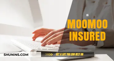 Is Moomoo Insured? Understanding Its SIPC and FDIC Protections