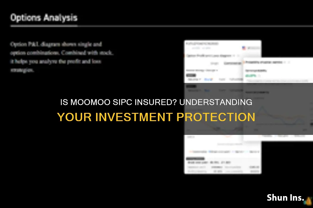 is moomoo sipc insured