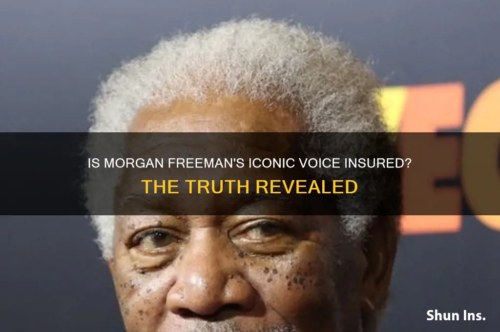 is morgan freeman