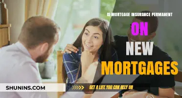 Mortgage Insurance: A Permanent Fixture or Flexible Feature?