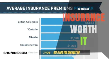 Montage Insurance: Worth the Cost?