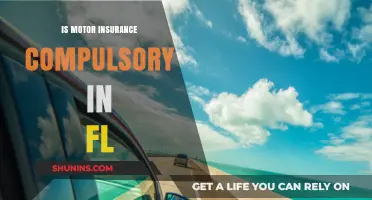 Is Motor Insurance Mandatory in Florida? Legal Requirements Explained