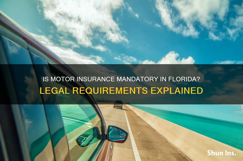 is motor insurance compulsory in fl