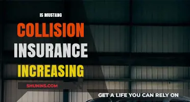Is Mustang Collision Insurance Rising? Trends and Factors Explained