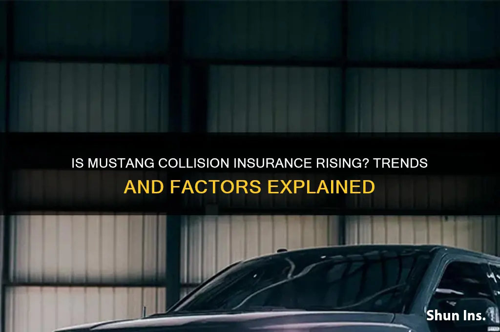 is mustang collision insurance increasing