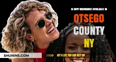 Is MVP Insurance an Option in Otsego County, NY?
