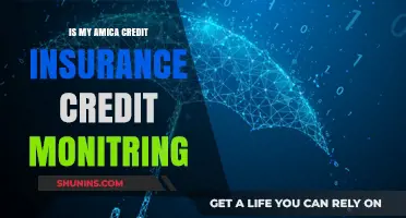 Amica Credit Insurance Monitoring: What You Need to Know