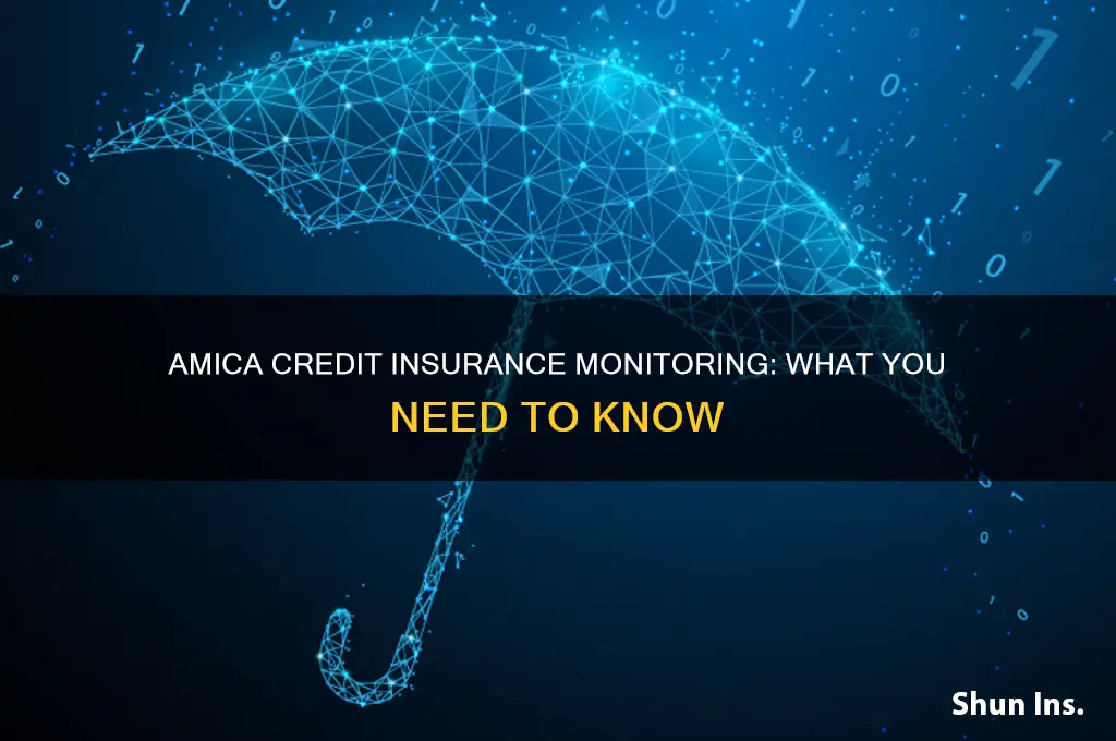 is my amica credit insurance credit monitring