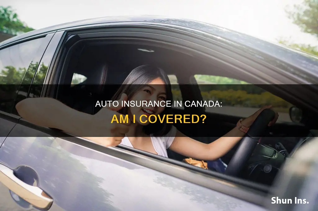 is my auto insurance good in canada