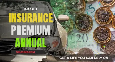 Auto Insurance Premium: Annual or Monthly?