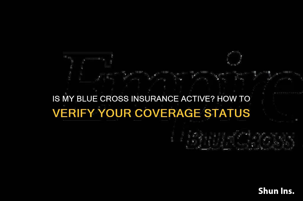 is my blue cross insurance active