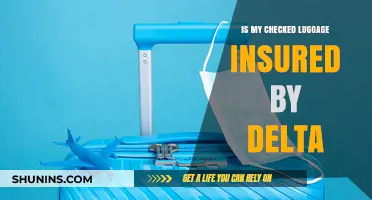 Delta's Checked Luggage: What's the Insurance Situation?