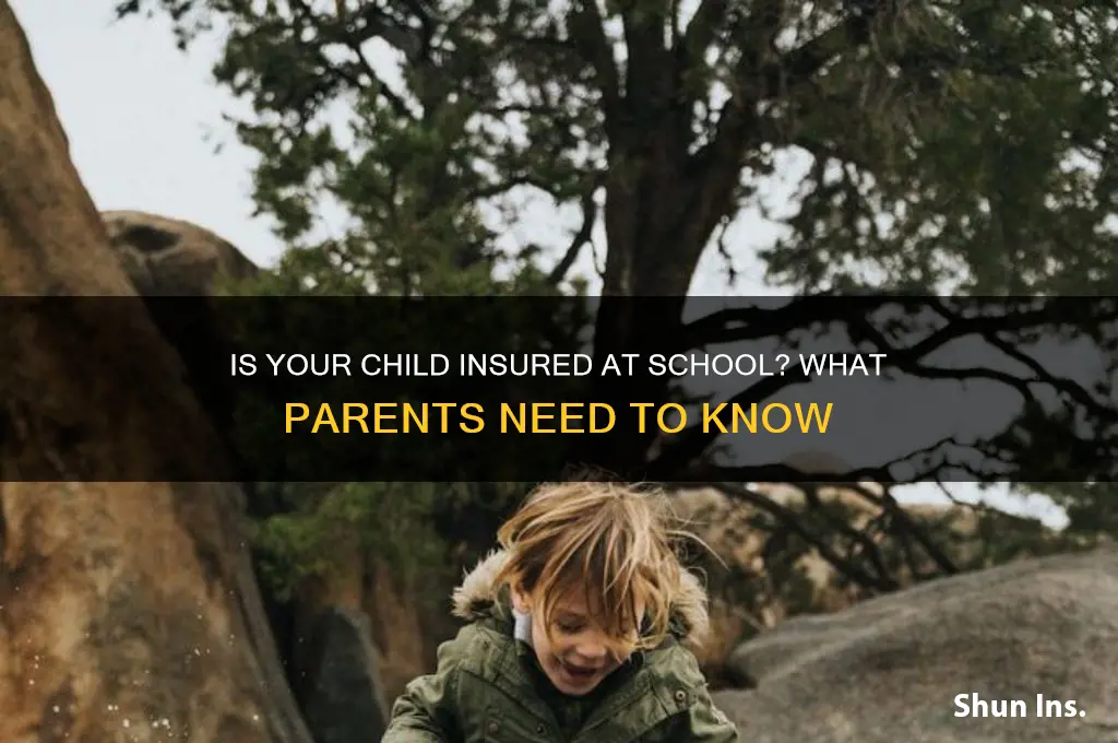 is my child insured at school