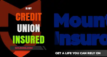 Is Your Credit Union Insured? Understanding Deposit Protection and Safety