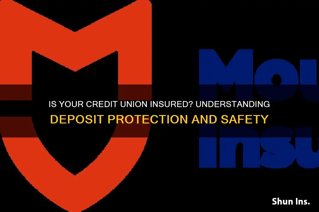 is my credit union insured