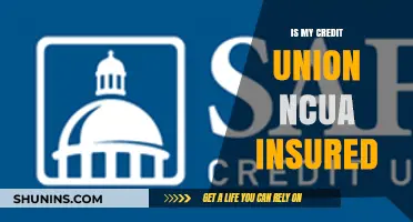Credit Union Deposits: Are They Safe?