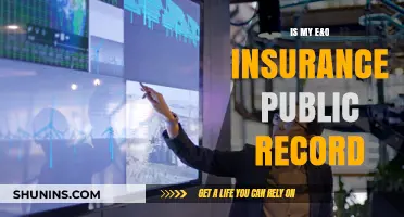 Is Your E&O Insurance Public Record? What You Need to Know