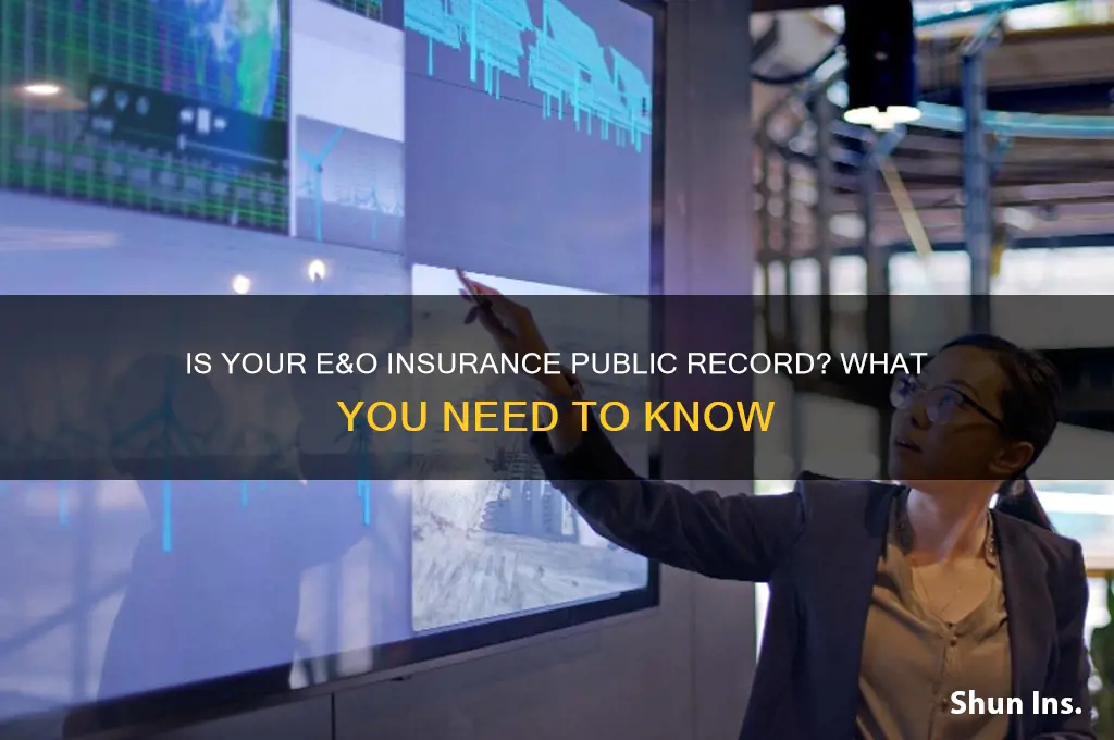 is my e&o insurance public record
