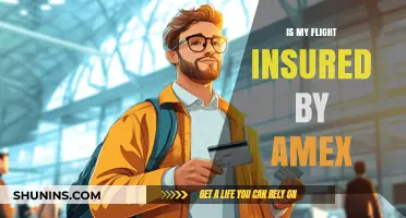 Is Your Flight Insured by Amex? Understanding Travel Coverage Benefits