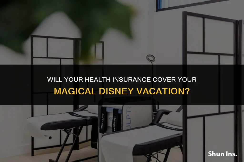 is my health insurance valid disney trip