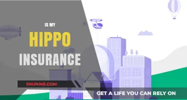 Is My Hippo Insurance Right for Protecting My Home and Belongings?