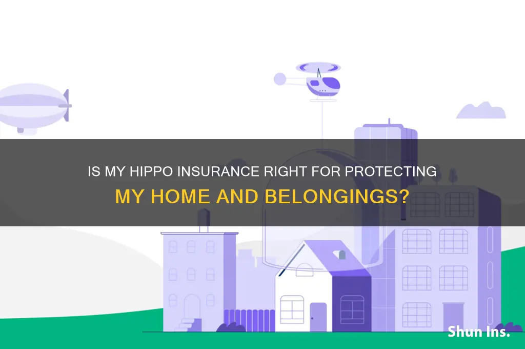 is my hippo insurance