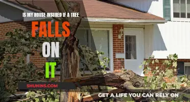 Home Insurance: Fallen Trees