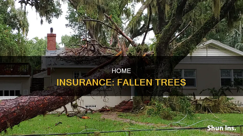 is my house insured if a tree falls on it