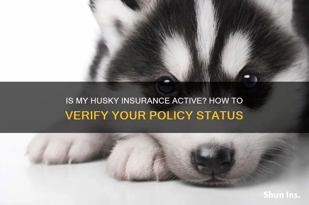 is my husky insurance active