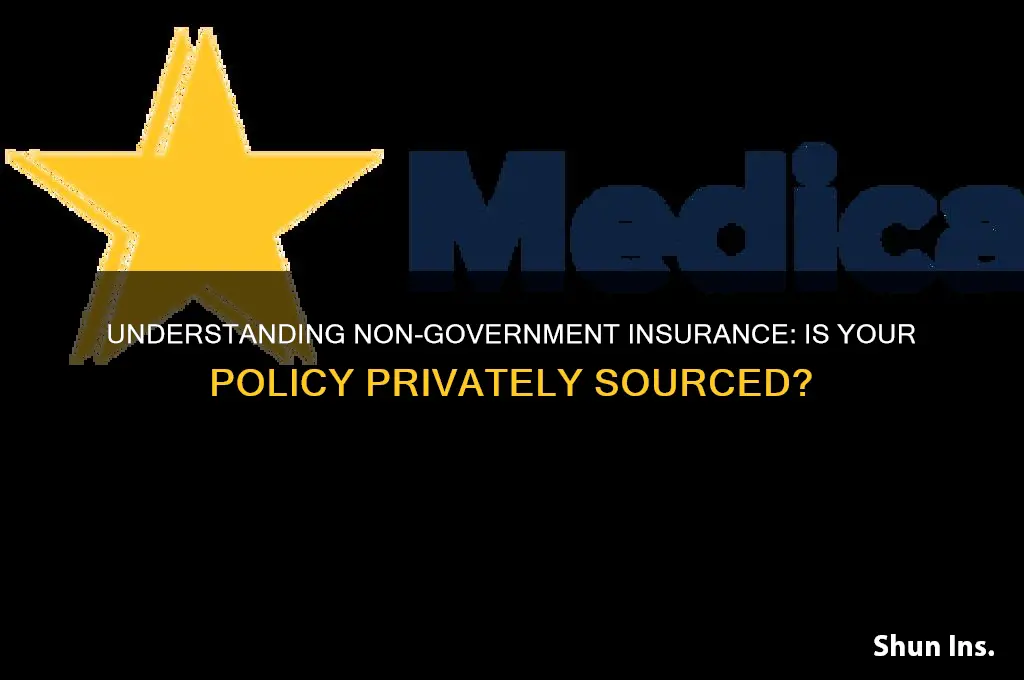 is my insurance a non-government source