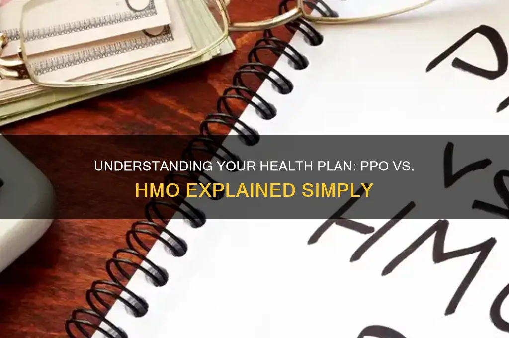 is my insurance a ppo or hmo