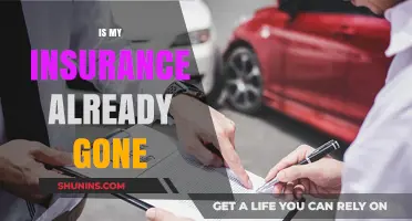 Is My Insurance Already Gone? Understanding Policy Expiry and Renewal