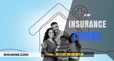 Understanding COBRA Insurance: Is It the Right Choice for You?