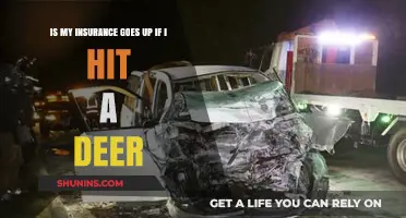 Does Hitting a Deer Increase Your Car Insurance Premiums?