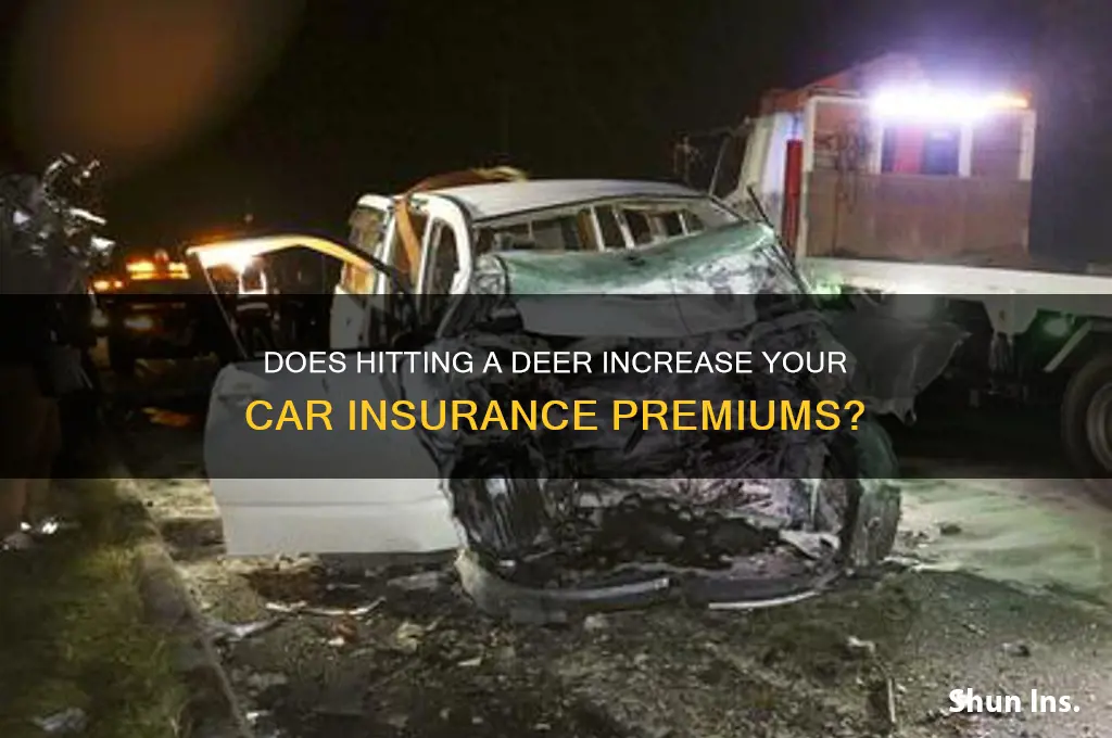 is my insurance goes up if i hit a deer