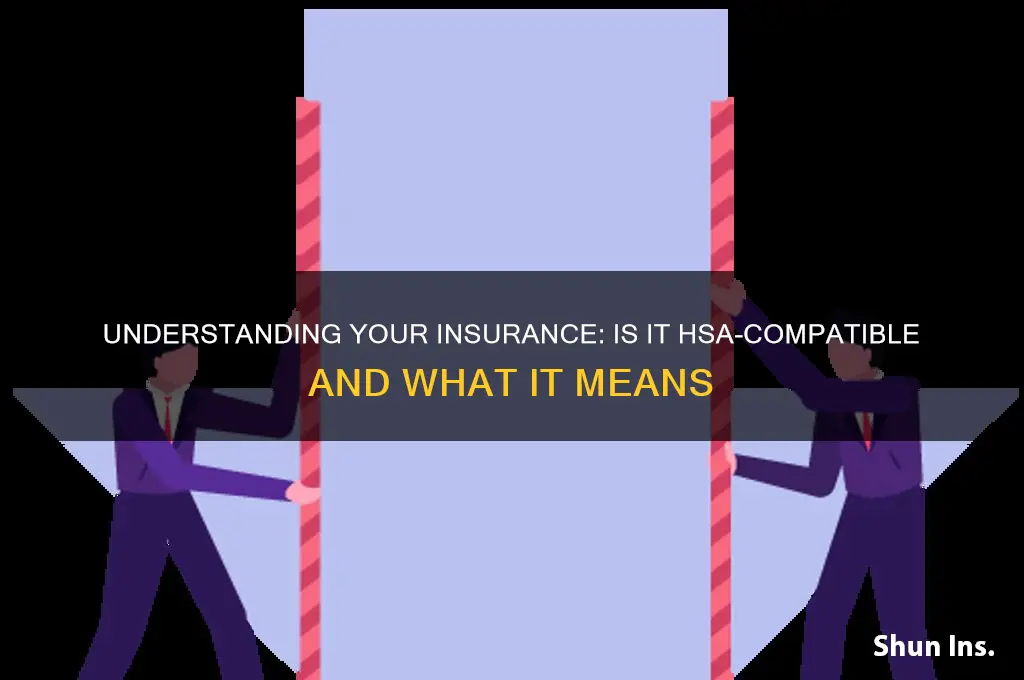 is my insurance hsa