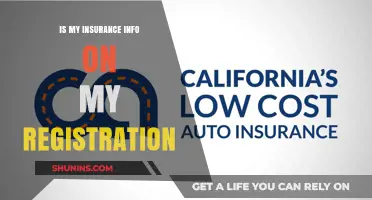 Is Your Insurance Info on Your Registration? What You Need to Know