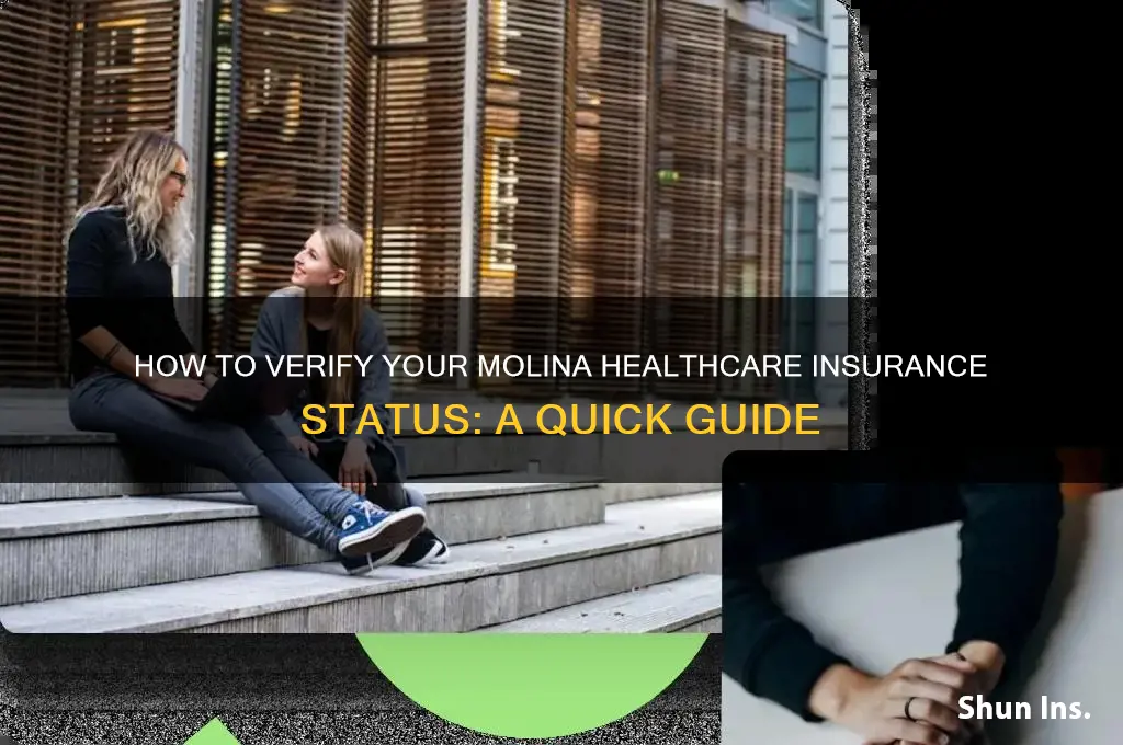 is my molina healthcare insurance current