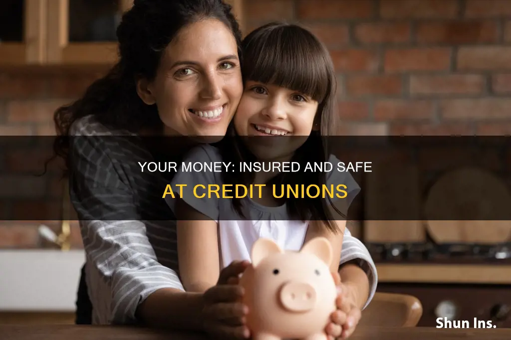 is my money insured in a credit ujion