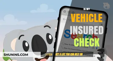 How to Check Your Vehicle Insurance Status