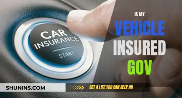 Gov Website Checks Your Car Insurance