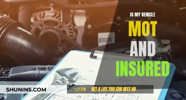 MOT and Insurance: Are You Legal to Drive?