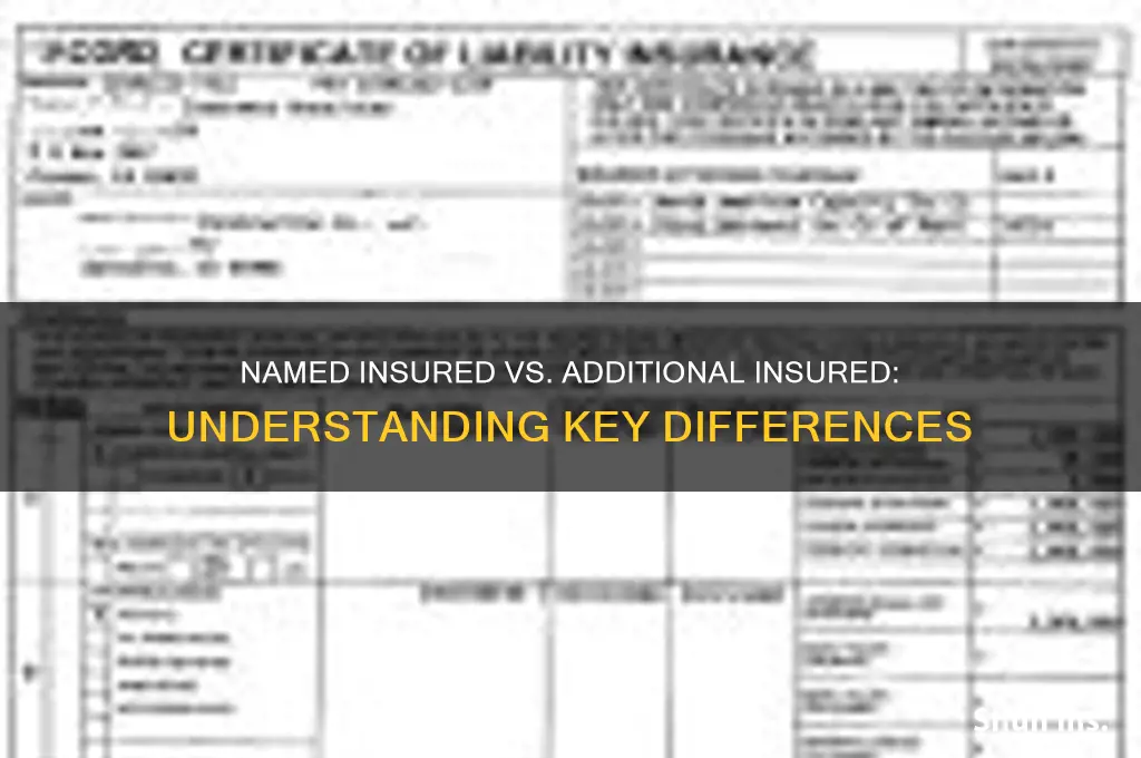 is named insured the same as additional insured