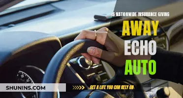 Nationwide Insurance Offering Echo Auto Devices for Free?