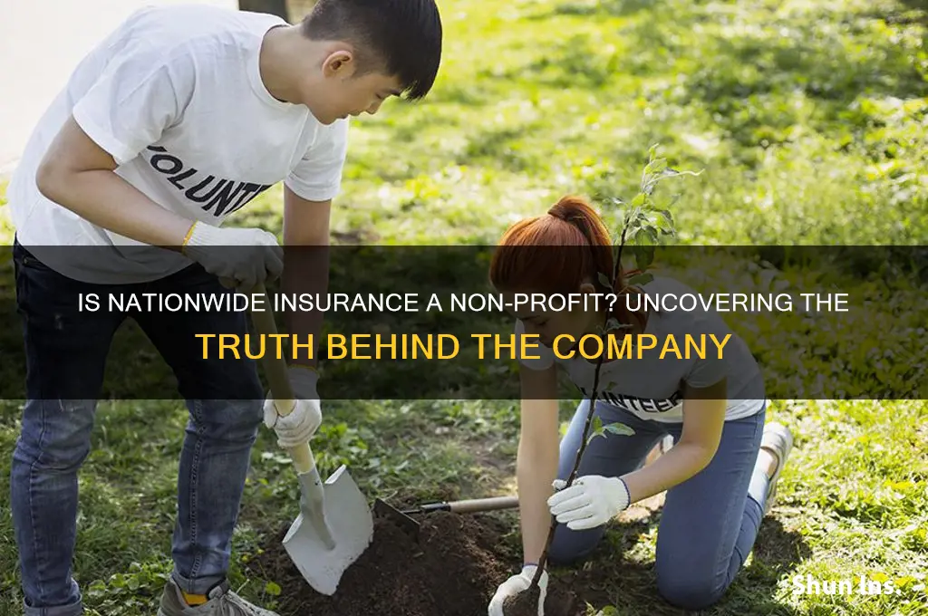 is nationwide insurance non profit