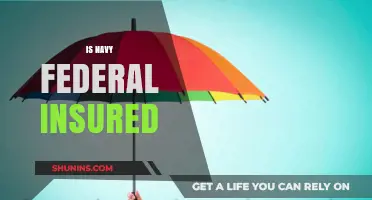 Navy Federal Insurance: What You Need to Know