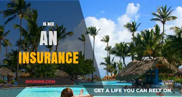 Understanding NCE: Is It a Form of Insurance Coverage?